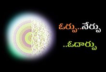 ఓర్పు ..నేర్పు ..ఓదార్పు